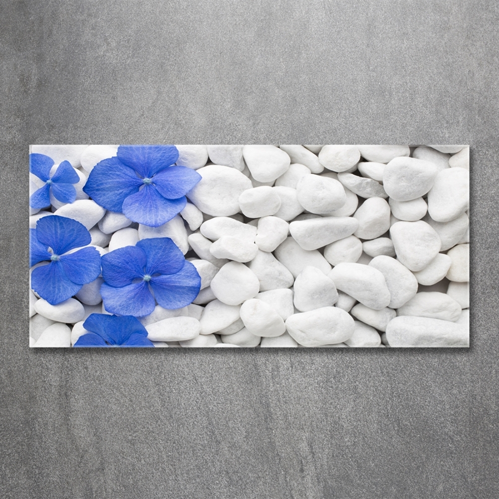 Tableau sur verre Hortensia