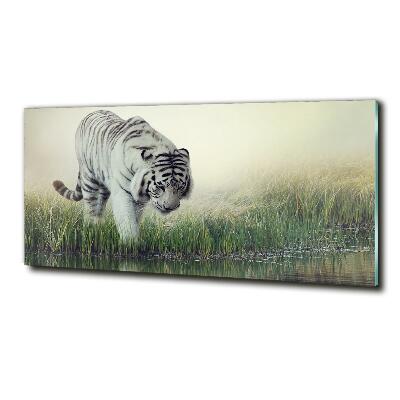 Tableau verre imprimé Tigre blanc