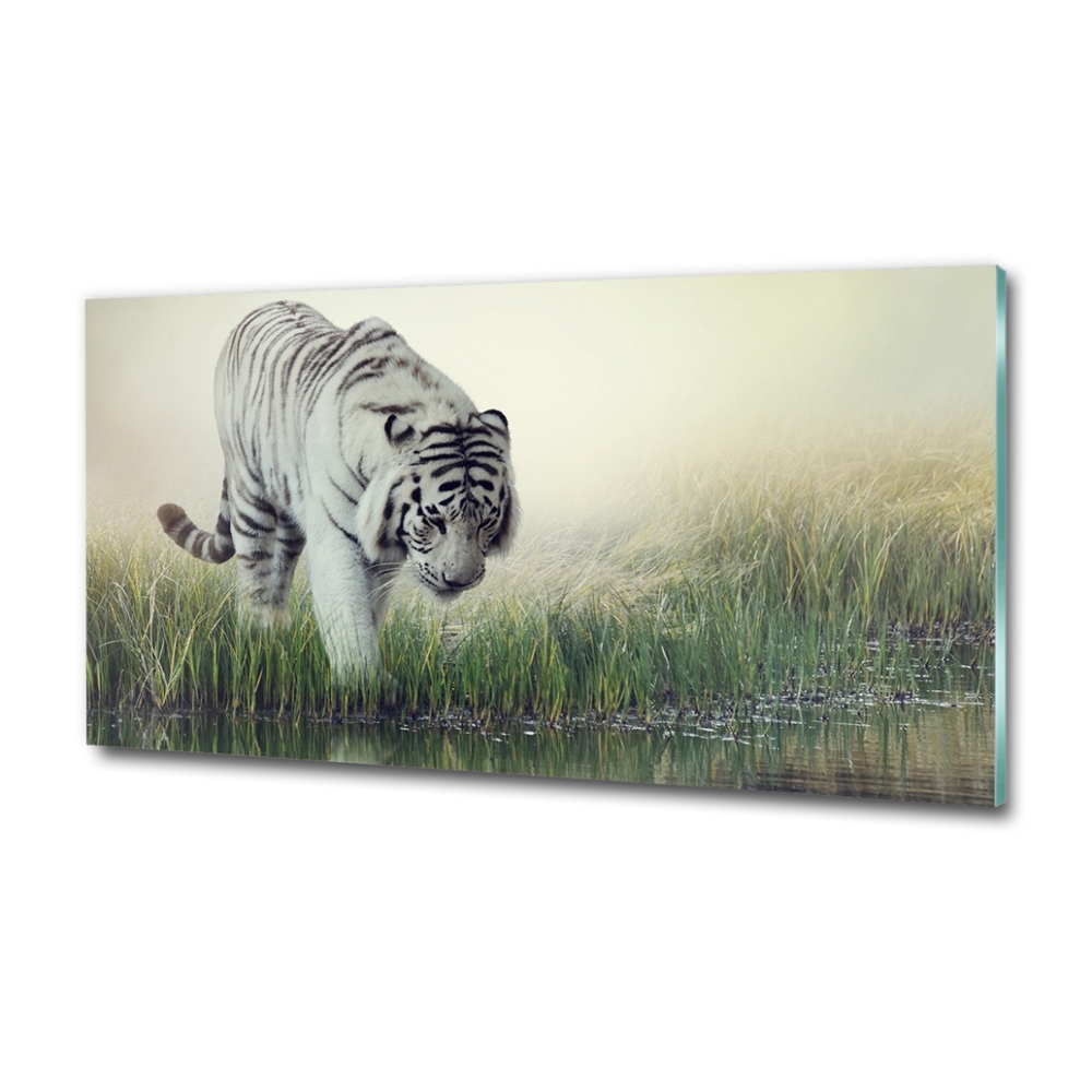 Tableau verre imprimé Tigre blanc