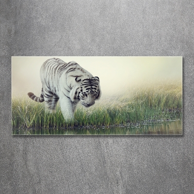 Tableau verre imprimé Tigre blanc