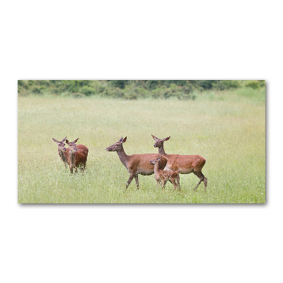 Tableau sur verre Cerf avec ses petits