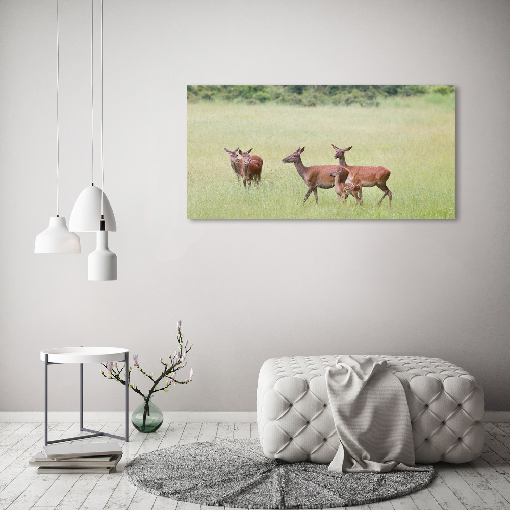 Tableau sur verre Cerf avec ses petits