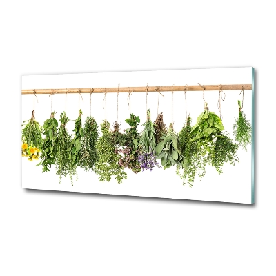 Tableau en verre Herbes sur une ficelle