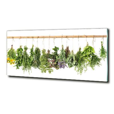 Tableau en verre Herbes sur une ficelle