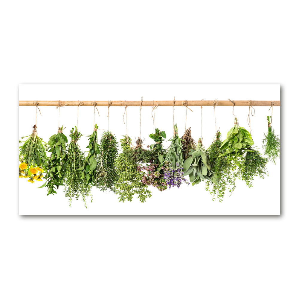 Tableau en verre Herbes sur une ficelle