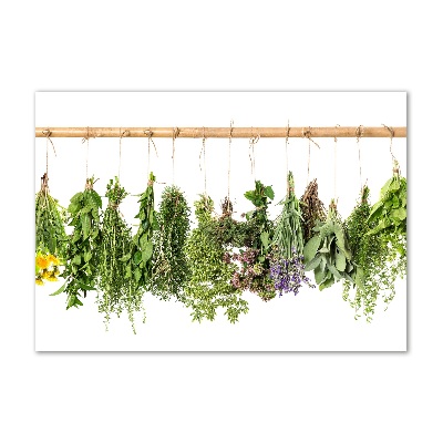 Tableau en verre Herbes sur une ficelle