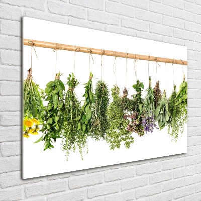 Tableau en verre Herbes sur une ficelle