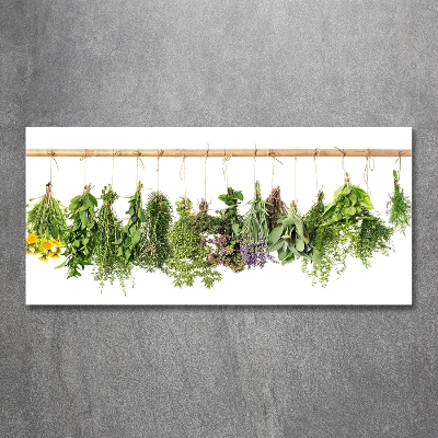 Tableau en verre Herbes sur une ficelle