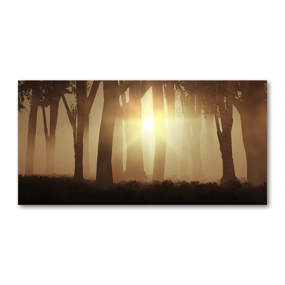 Tableau photo sur verre Brume dans la forêt