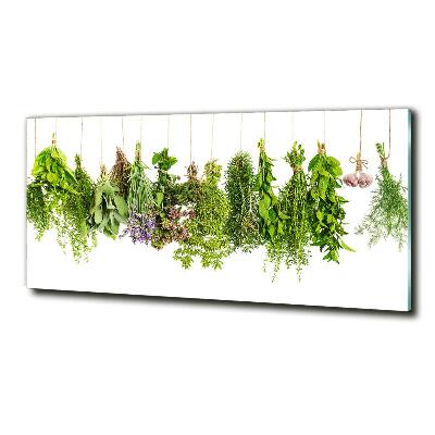 Tableau photo sur verre Herbes sur ficelle