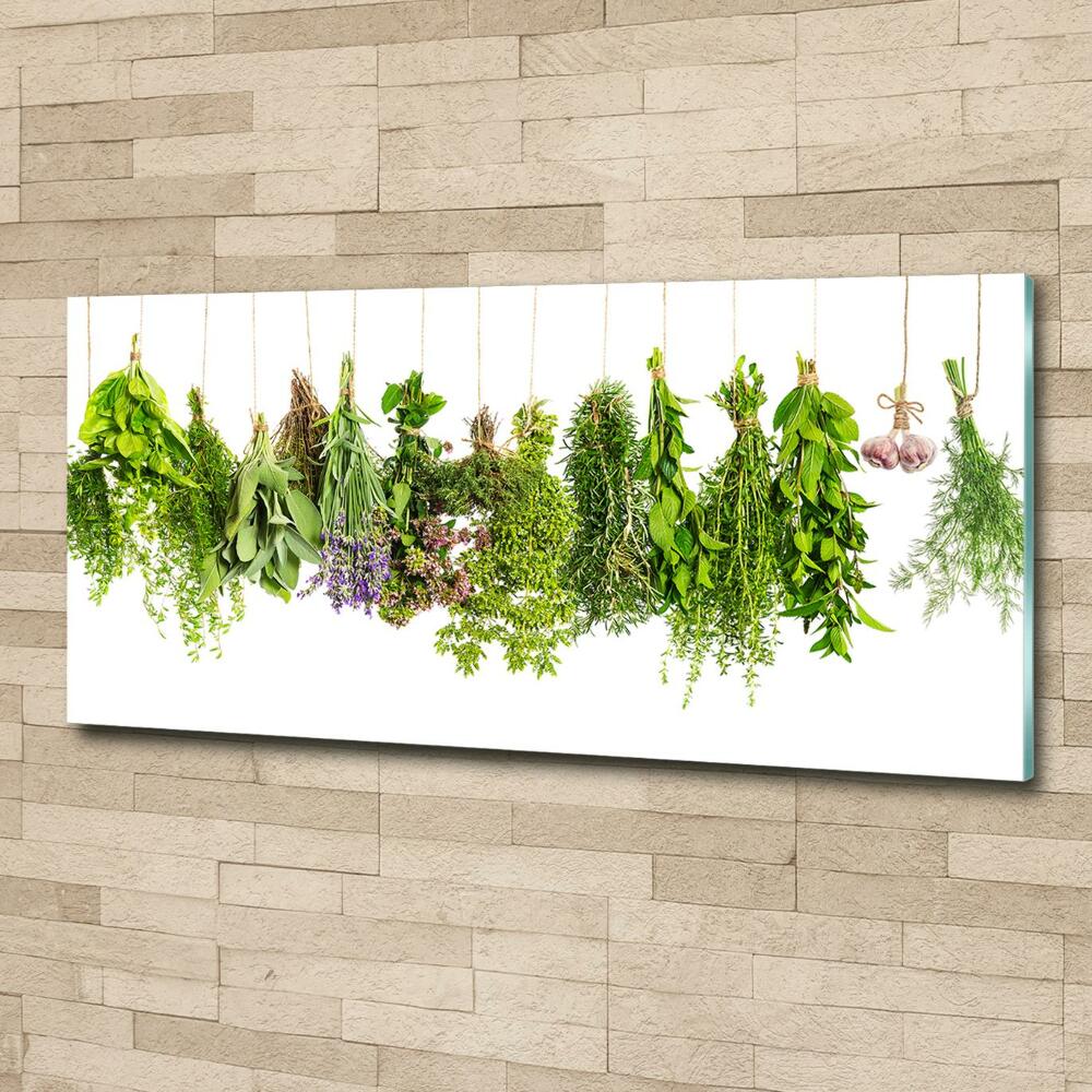 Tableau photo sur verre Herbes sur ficelle