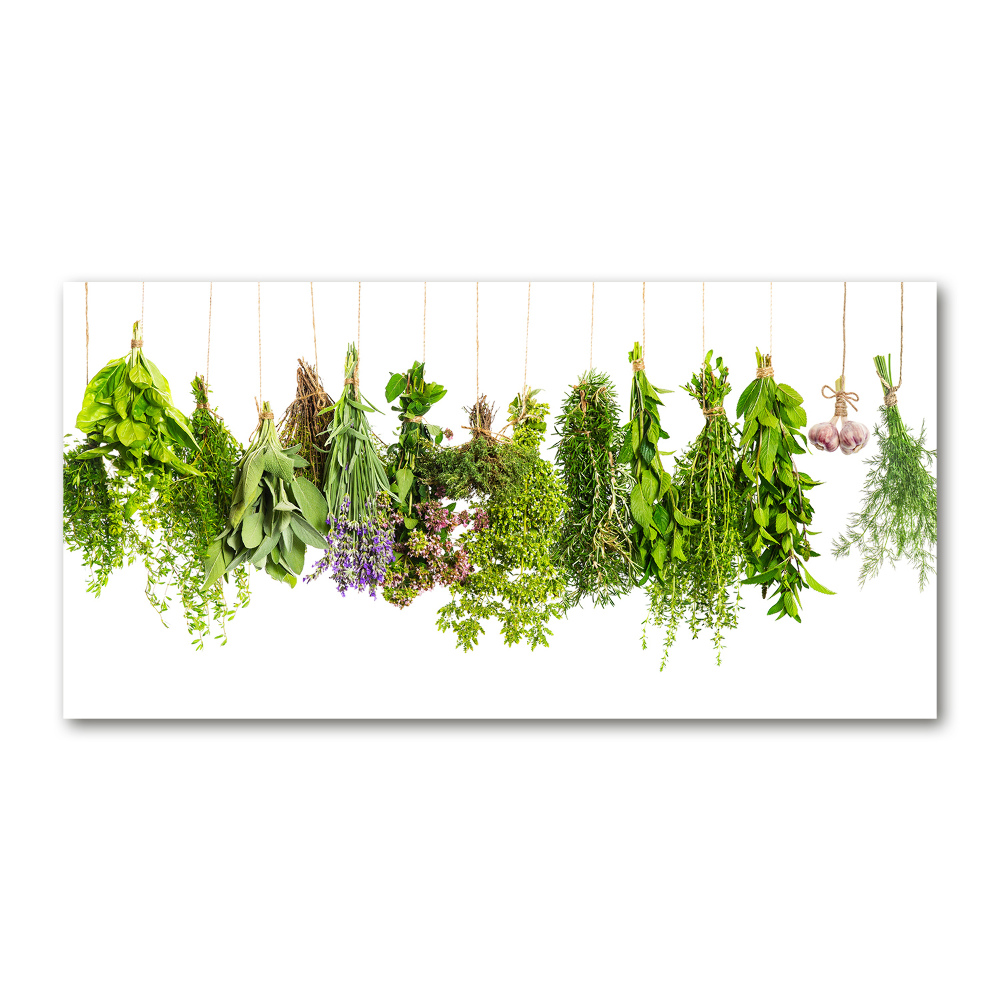 Tableau photo sur verre Herbes sur ficelle