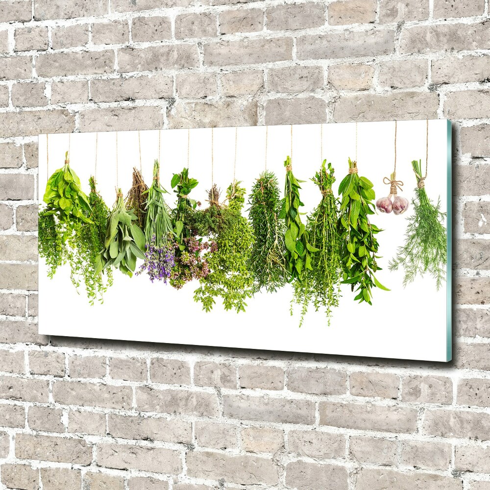 Tableau photo sur verre Herbes sur ficelle