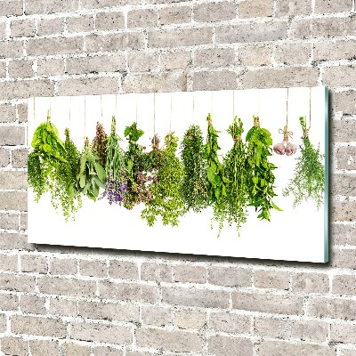 Tableau photo sur verre Herbes sur ficelle