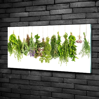 Tableau photo sur verre Herbes sur ficelle