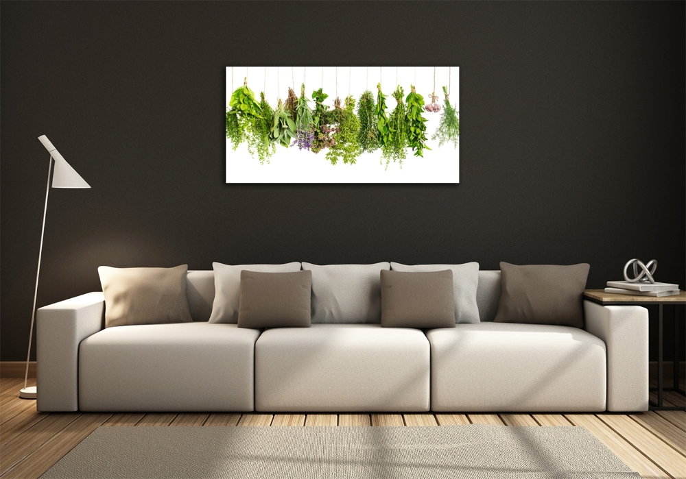 Tableau photo sur verre Herbes sur ficelle