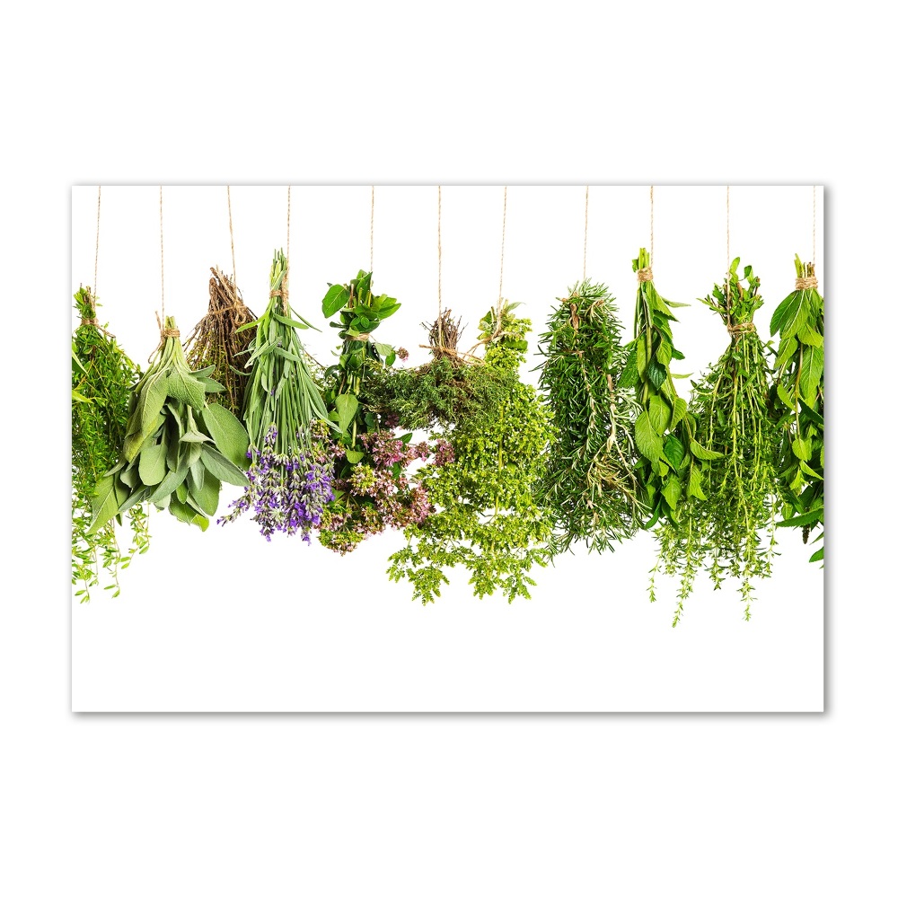 Tableau photo sur verre Herbes sur ficelle