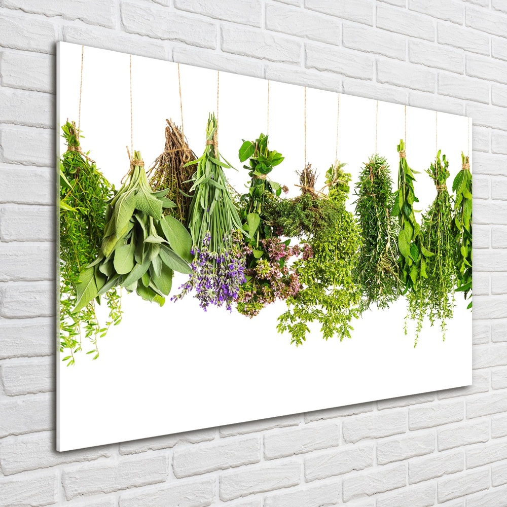 Tableau photo sur verre Herbes sur ficelle