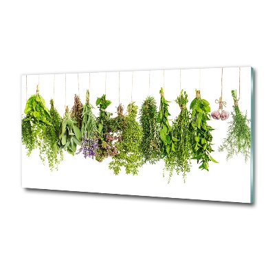 Tableau photo sur verre Herbes sur ficelle