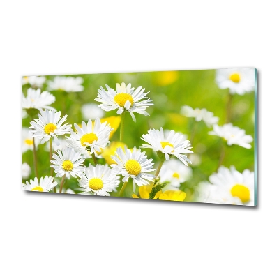 Tableau sur verre marguerites