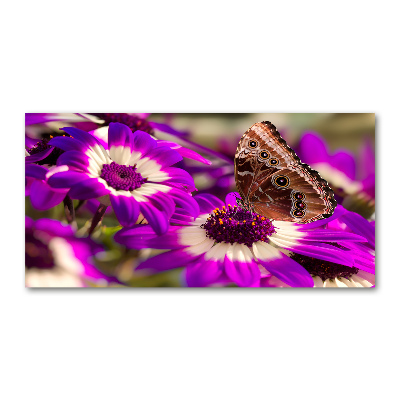 Tableau verre imprimé Papillon sur une fleur