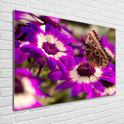 Tableau verre imprimé Papillon sur une fleur