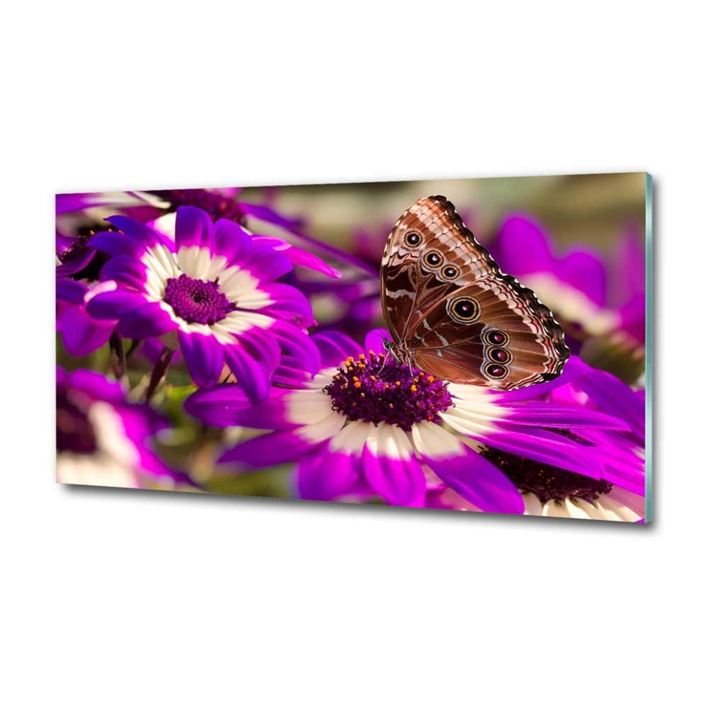 Tableau verre imprimé Papillon sur une fleur