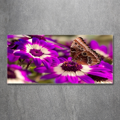 Tableau verre imprimé Papillon sur une fleur