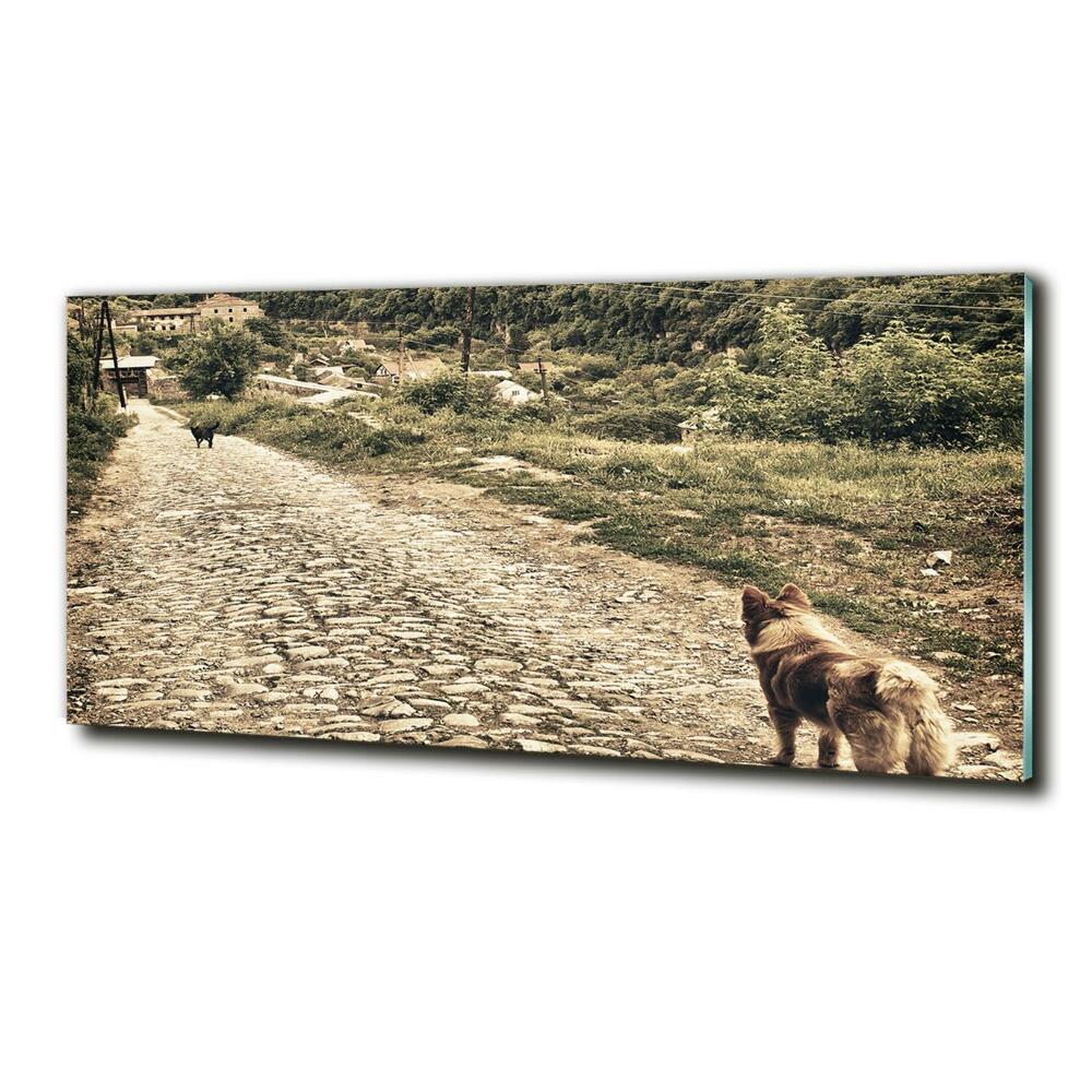 Tableau en verre Deux chiens sur une colline