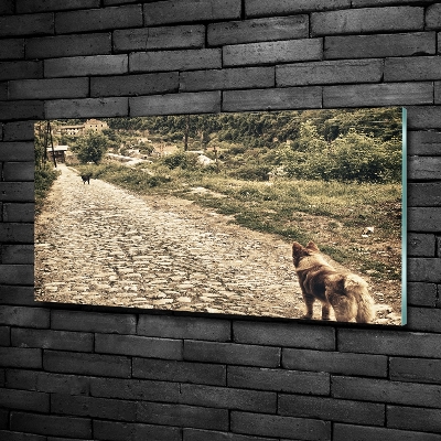 Tableau en verre Deux chiens sur une colline