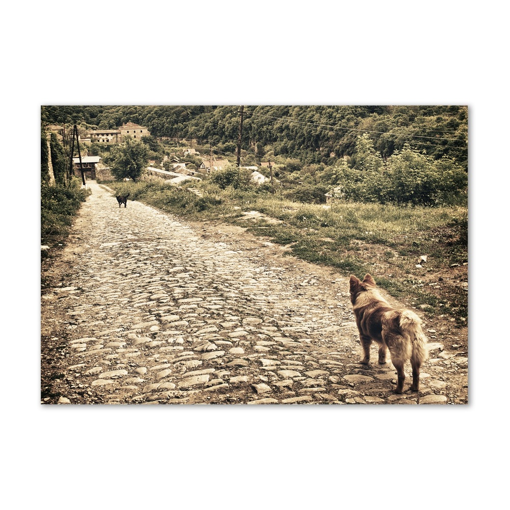 Tableau en verre Deux chiens sur une colline