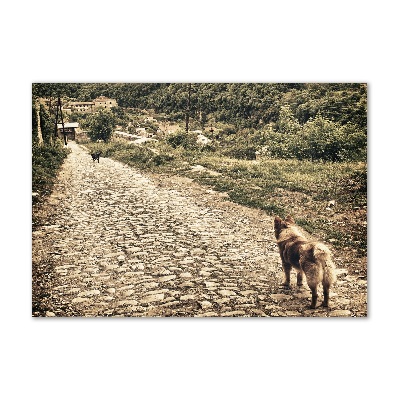 Tableau en verre Deux chiens sur une colline