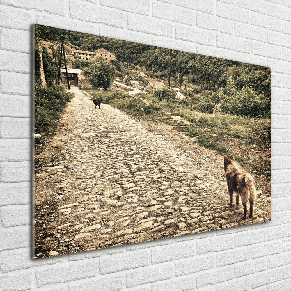 Tableau en verre Deux chiens sur une colline