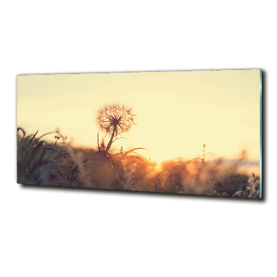 Tableau photo sur verre Gonflable