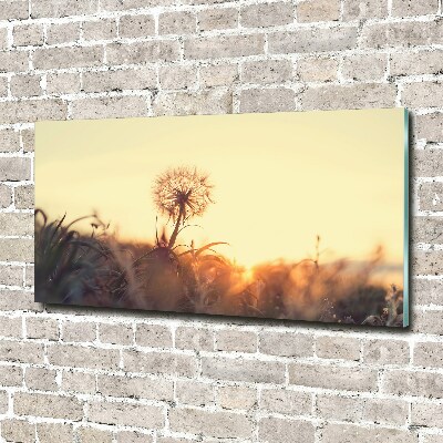 Tableau photo sur verre Gonflable