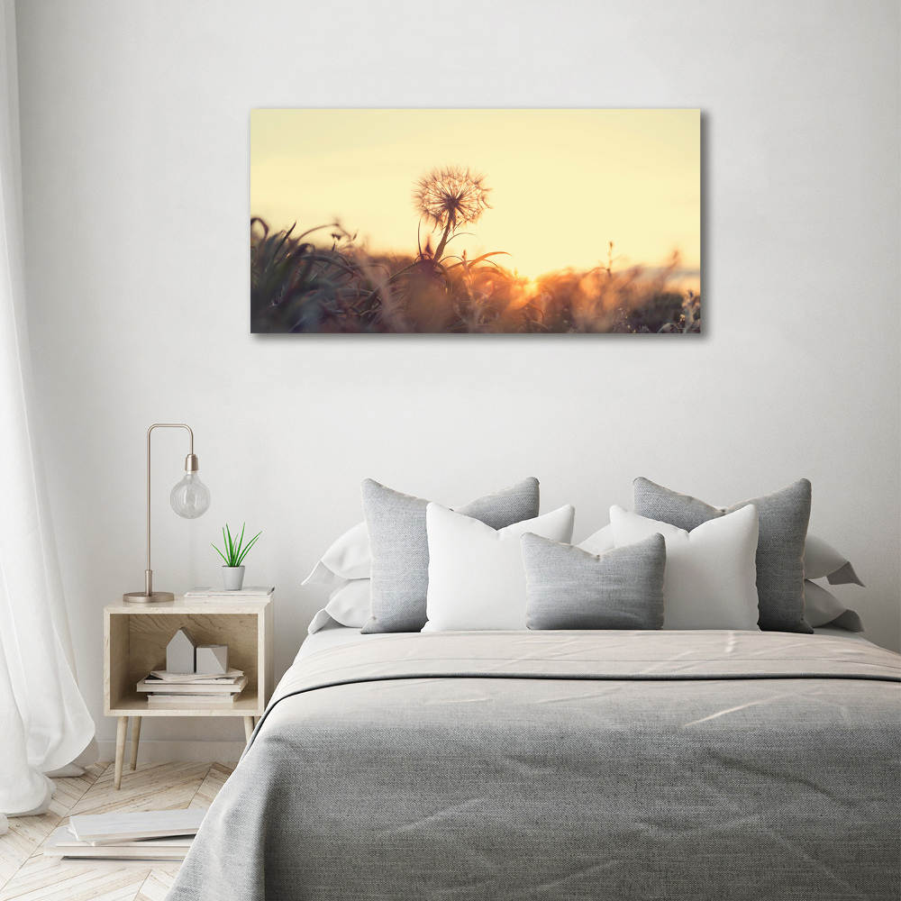 Tableau photo sur verre Gonflable