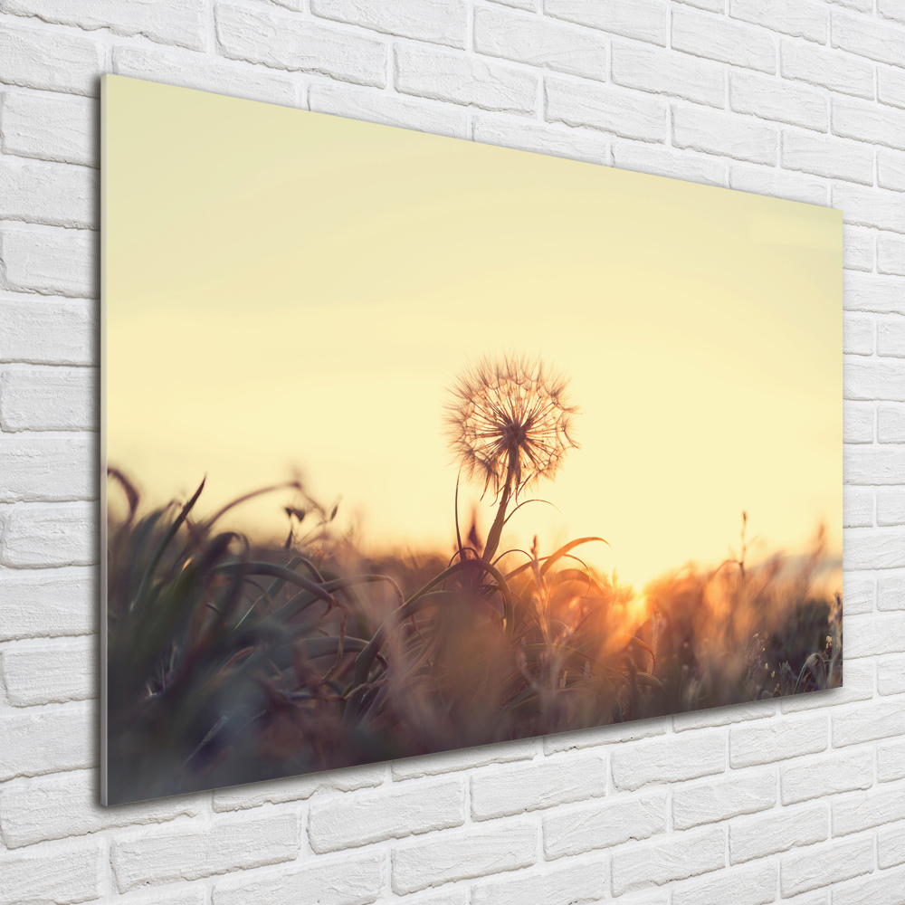 Tableau photo sur verre Gonflable