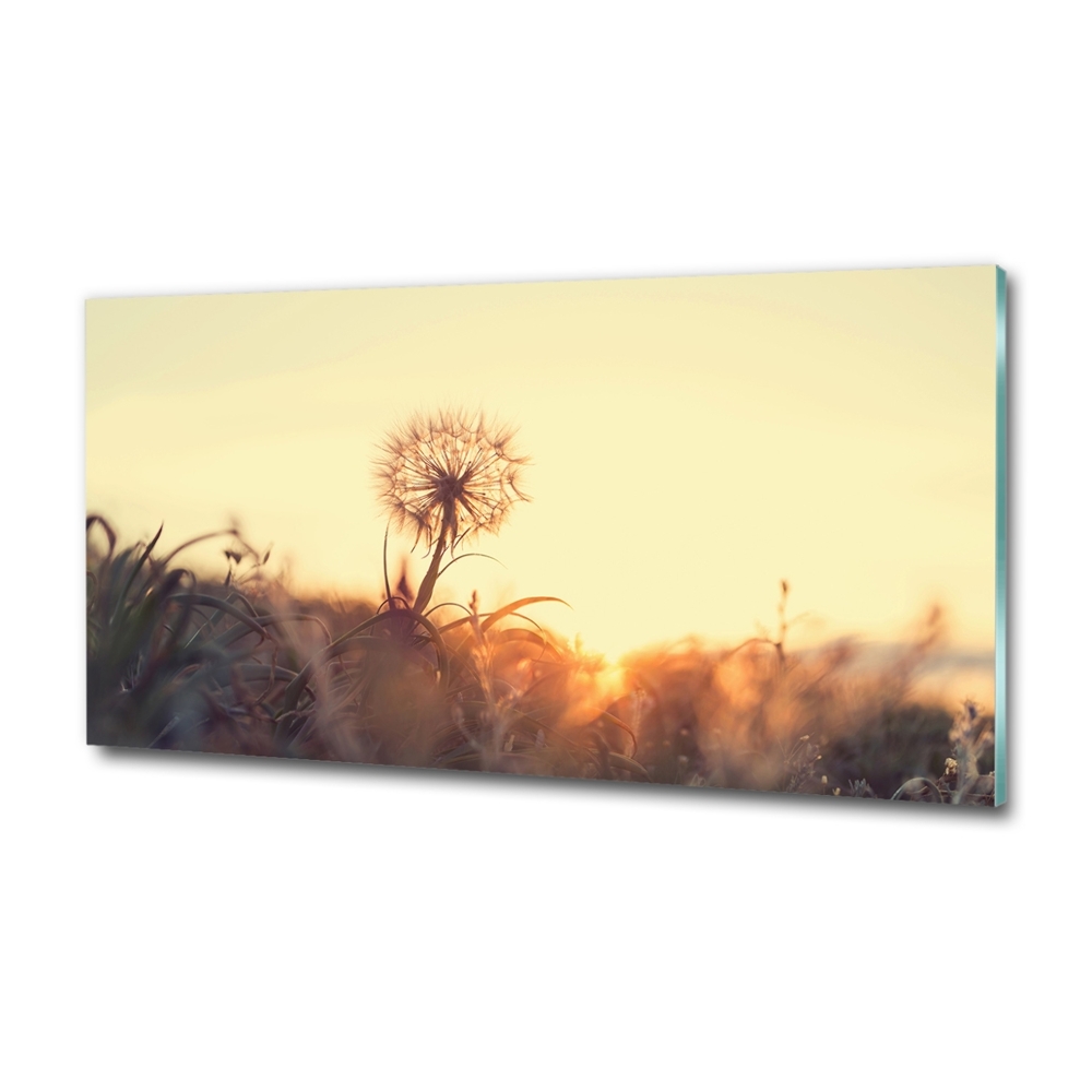 Tableau photo sur verre Gonflable