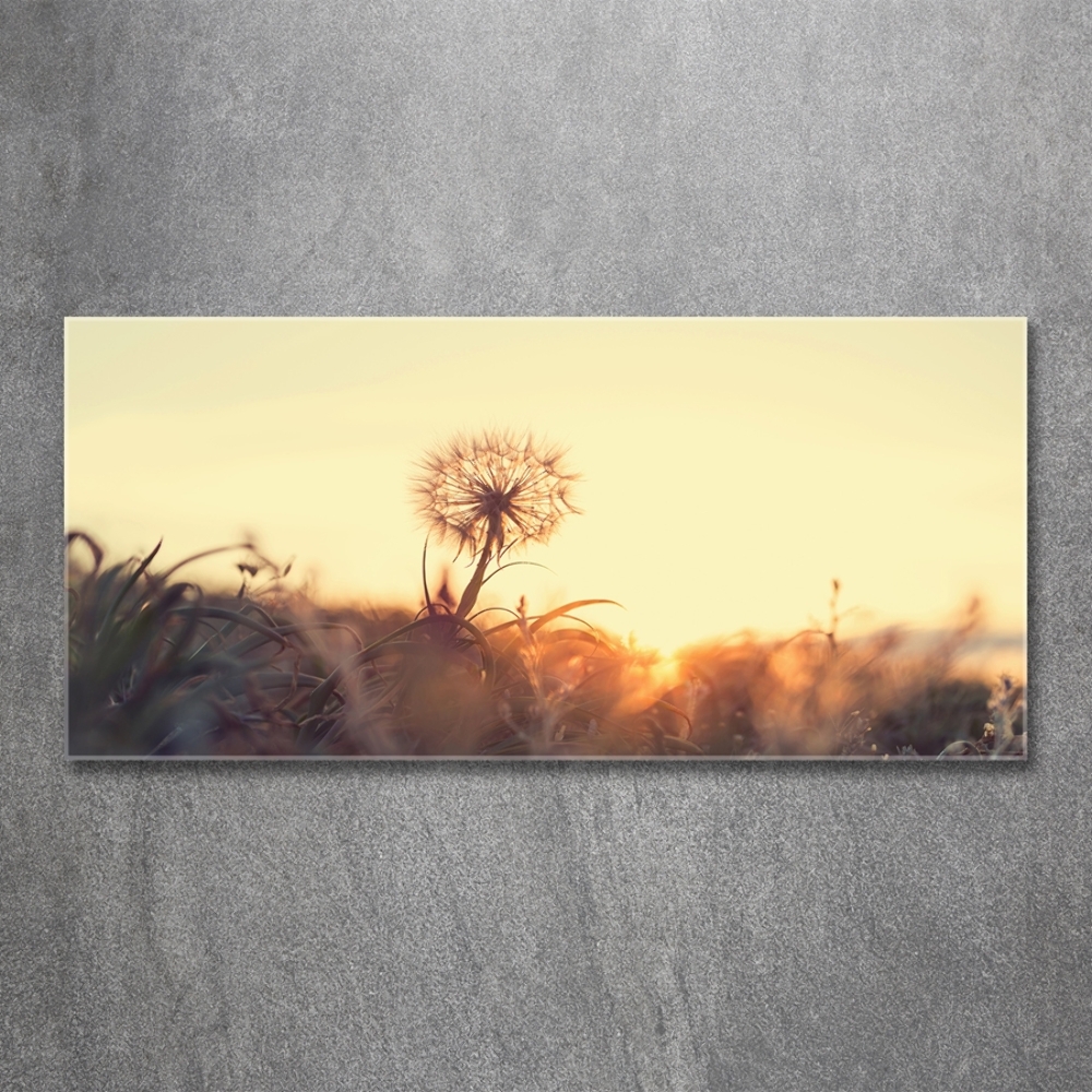 Tableau photo sur verre Gonflable