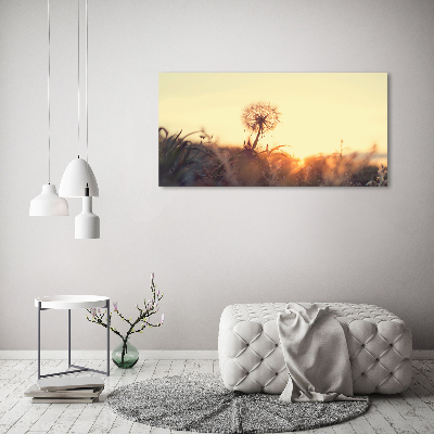 Tableau photo sur verre Gonflable