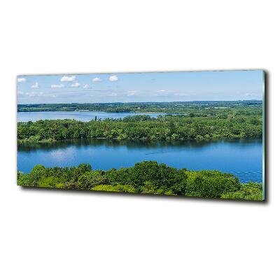 Tableau sur verre Forêt de bord de lac