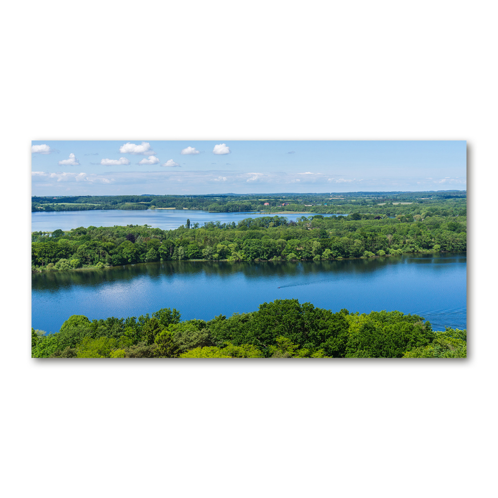 Tableau sur verre Forêt de bord de lac