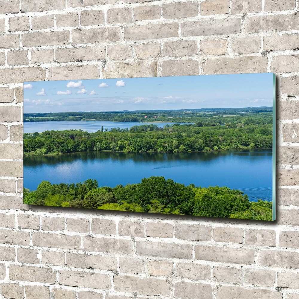 Tableau sur verre Forêt de bord de lac