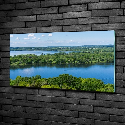 Tableau sur verre Forêt de bord de lac