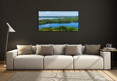 Tableau sur verre Forêt de bord de lac