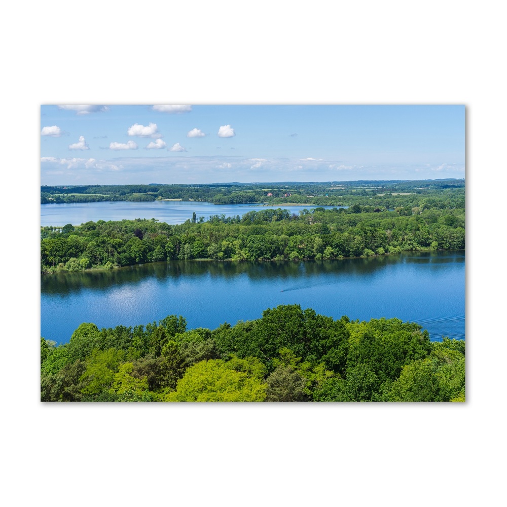 Tableau sur verre Forêt de bord de lac