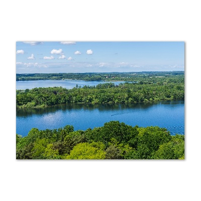 Tableau sur verre Forêt de bord de lac