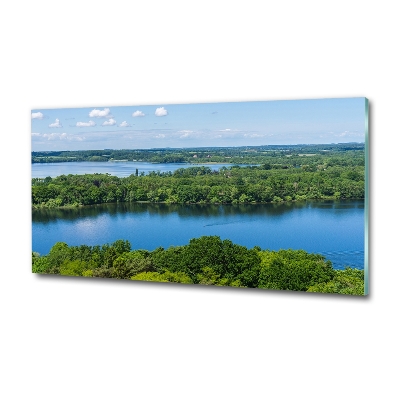 Tableau sur verre Forêt de bord de lac