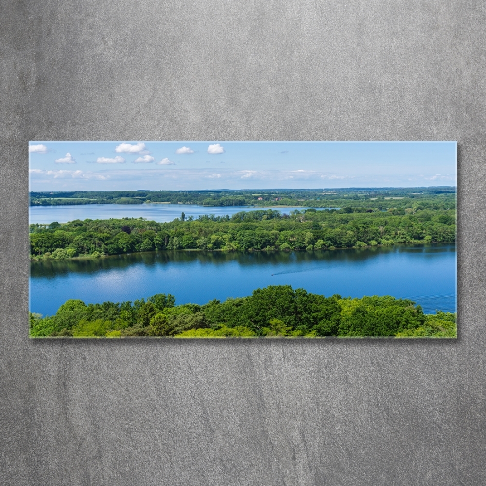 Tableau sur verre Forêt de bord de lac