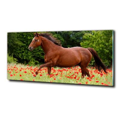 Tableau imprimé sur verre Cheval dans un champ de coquelicots